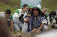 En honor a la Madre Tierra 3.586 árboles fueron sembrados en Colombia con una nueva visión ambiental