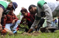 En honor a la Madre Tierra 3.586 árboles fueron sembrados en Colombia con una nueva visión ambiental