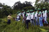 En honor a la Madre Tierra 3.586 árboles fueron sembrados en Colombia con una nueva visión ambiental