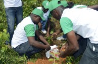 En honor a la Madre Tierra 3.586 árboles fueron sembrados en Colombia con una nueva visión ambiental