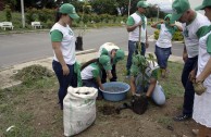 En honor a la Madre Tierra 3.586 árboles fueron sembrados en Colombia con una nueva visión ambiental