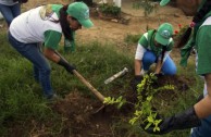 En honor a la Madre Tierra 3.586 árboles fueron sembrados en Colombia con una nueva visión ambiental