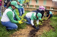 En honor a la Madre Tierra 3.586 árboles fueron sembrados en Colombia con una nueva visión ambiental