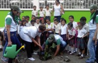 En honor a la Madre Tierra 3.586 árboles fueron sembrados en Colombia con una nueva visión ambiental