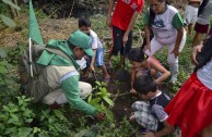 En honor a la Madre Tierra 3.586 árboles fueron sembrados en Colombia con una nueva visión ambiental