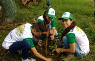 En honor a la Madre Tierra 3.586 árboles fueron sembrados en Colombia con una nueva visión ambiental