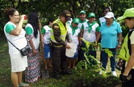 En honor a la Madre Tierra 3.586 árboles fueron sembrados en Colombia con una nueva visión ambiental