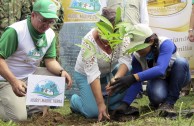 En honor a la Madre Tierra 3.586 árboles fueron sembrados en Colombia con una nueva visión ambiental