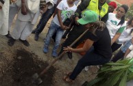 En honor a la Madre Tierra 3.586 árboles fueron sembrados en Colombia con una nueva visión ambiental