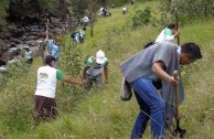 En honor a la Madre Tierra 3.586 árboles fueron sembrados en Colombia con una nueva visión ambiental