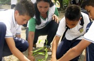 En honor a la Madre Tierra 3.586 árboles fueron sembrados en Colombia con una nueva visión ambiental