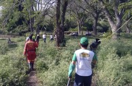 En honor a la Madre Tierra 3.586 árboles fueron sembrados en Colombia con una nueva visión ambiental