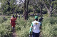 En honor a la Madre Tierra 3.586 árboles fueron sembrados en Colombia con una nueva visión ambiental