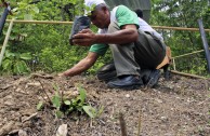 Una siembra consciente en toda Venezuela por el Día Mundial de la Madre Tierra