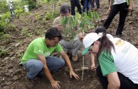 Una siembra consciente en toda Venezuela por el Día Mundial de la Madre Tierra