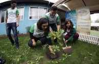 Jornada de Arborizacion en Chile