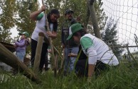 Jornada de Arborizacion en Chile