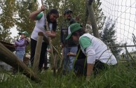 Gran movimiento mundial celebró la vida de la Madre Tierra y generó acciones por su paz y restauración