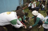 Jornada de Arborizacion en Chile