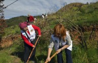 Guardianes por la Paz de la Madre Tierra en España recuperan zona del Parque  Natural de Collserola