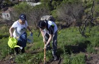 Guardianes por la Paz de la Madre Tierra en España recuperan zona del Parque  Natural de Collserola