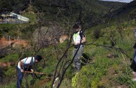 Guardianes por la Paz de la Madre Tierra en España recuperan zona del Parque  Natural de Collserola