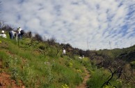 Guardianes por la Paz de la Madre Tierra en España recuperan zona del Parque  Natural de Collserola