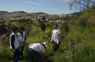 Guardianes por la Paz de la Madre Tierra en España recuperan zona del Parque  Natural de Collserola