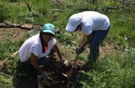 Guardianes por la Paz de la Madre Tierra en España recuperan zona del Parque  Natural de Collserola