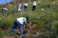 Guardianes por la Paz de la Madre Tierra en España recuperan zona del Parque  Natural de Collserola