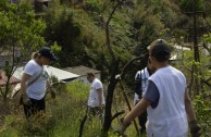 Guardianes por la Paz de la Madre Tierra en España recuperan zona del Parque  Natural de Collserola