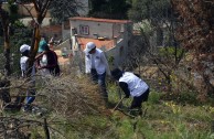 Guardianes por la Paz de la Madre Tierra en España recuperan zona del Parque  Natural de Collserola