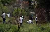 Guardianes por la Paz de la Madre Tierra en España recuperan zona del Parque  Natural de Collserola