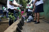 Guardianes por la paz de la Madre Tierra de Nicaragua sembraron 200 árboles