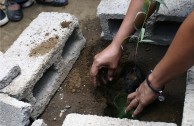 Guardianes por la paz de la Madre Tierra de Nicaragua sembraron 200 árboles