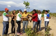 En Brasil actividades ambientales promueven la participación ciudadana