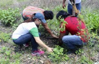 En Brasil actividades ambientales promueven la participación ciudadana