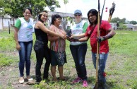 En Brasil actividades ambientales promueven la participación ciudadana