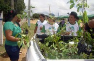 En Brasil actividades ambientales promueven la participación ciudadana