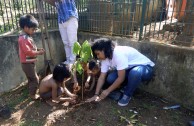 Gran movimiento mundial celebró la vida de la Madre Tierra y generó acciones por su paz y restauración