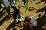 En Brasil actividades ambientales promueven la participación ciudadana