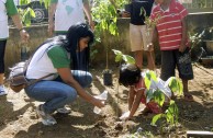 En Brasil actividades ambientales promueven la participación ciudadana