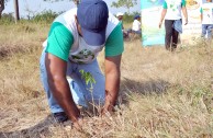 En Honor a la Madre Tierra fueron sembrados más de 3.500 árboles en Honduras