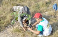 En Honor a la Madre Tierra fueron sembrados más de 3.500 árboles en Honduras