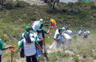 Recuperan importantes zonas de Ecuador con jornadas de reforestación