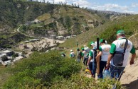 Recuperan importantes zonas de Ecuador con jornadas de reforestación