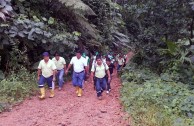 Recuperan importantes zonas de Ecuador con jornadas de reforestación