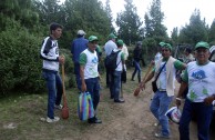 Recuperan importantes zonas de Ecuador con jornadas de reforestación