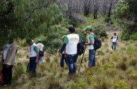 Recuperan importantes zonas de Ecuador con jornadas de reforestación