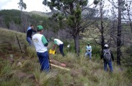 Recuperan importantes zonas de Ecuador con jornadas de reforestación